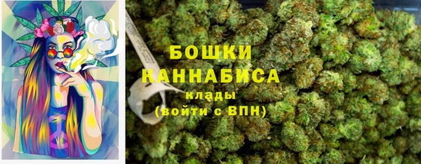 Альфа ПВП Бородино
