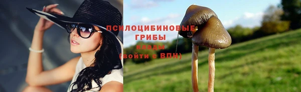 Альфа ПВП Бородино