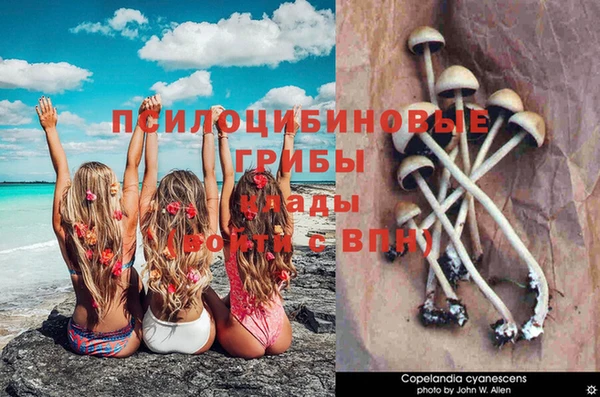 Альфа ПВП Бородино