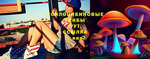 Альфа ПВП Бородино